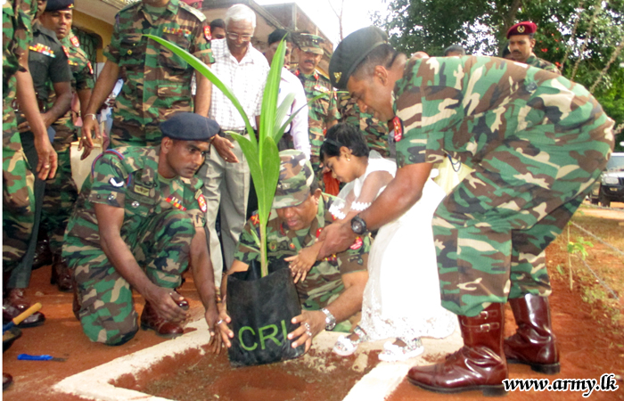 යාපනයේ දී පොල් පැළ බෙදාදීමක්