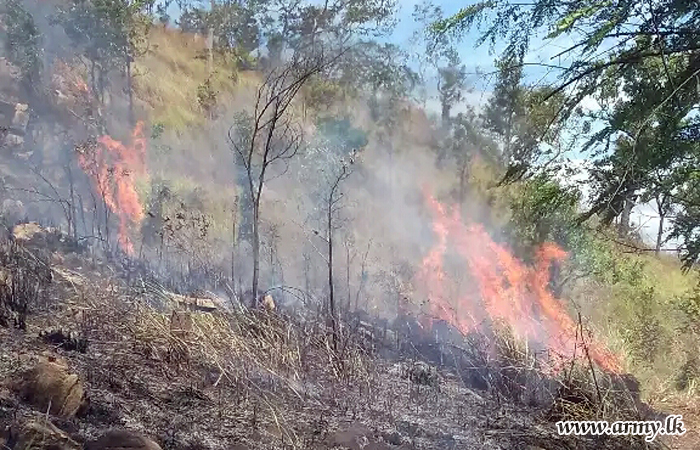 Combined Army Teams Douse Spreading Bushfire