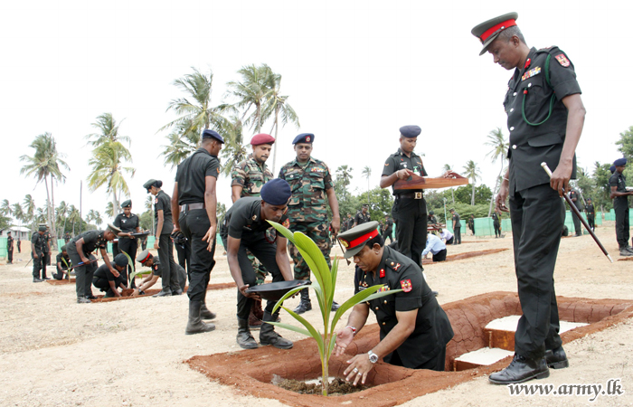 Jaffna Security Forces Launch One More Phase of Coastal Conservation, Planting 200 More Coconut Saplings