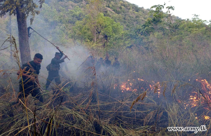 Central Troops Continue to Extinguish Bush Fires
