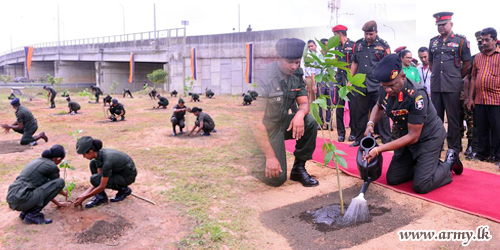 ‘තුරුලිය වෙනුවෙන් අපි’ ව්‍යාපෘතිය යටතේ දක්ෂීණ අධිවේගි මාර්ගය දෙපස රුක් රෝපණ වැඩසටහනක්