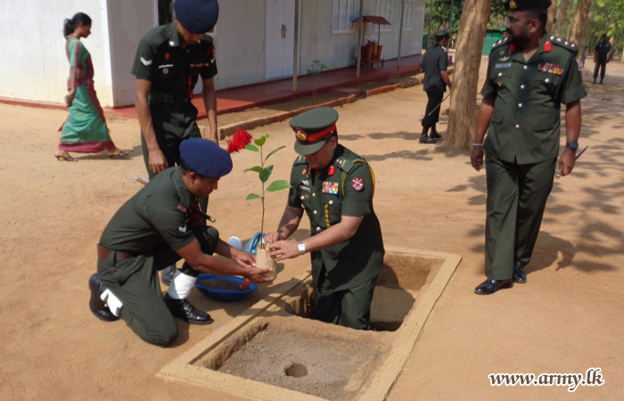 53 Division Joins Tree Planting Programme