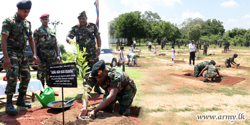 ‘වන රෝපා’ රුක් රෝපණ ව්‍යාපෘතියට ආධාරයක් වෙමින් යුද්ධ හමුදාධිපති ‘රණවිරු හරිත අරණ’ වැඩසටහන ආරම්භ කරයි