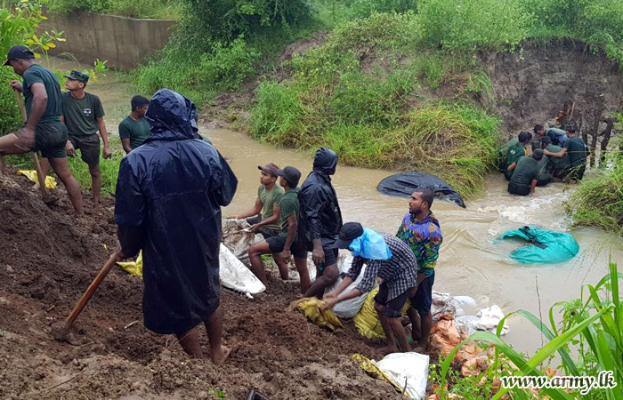 Update: Troops Arrest Split of Canal Bank  