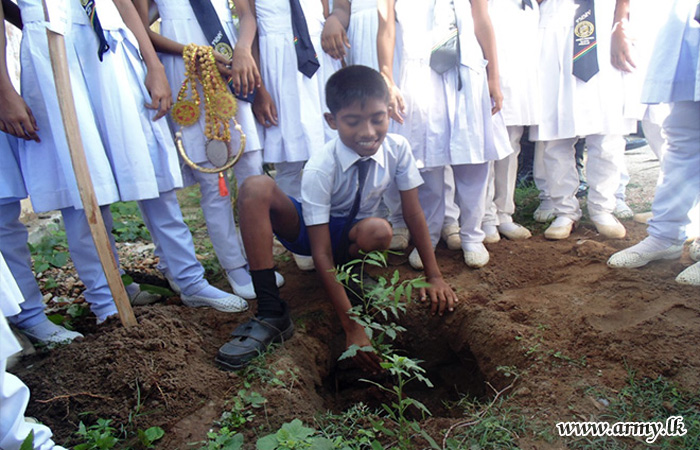 Troops with Students Plant Saplings 