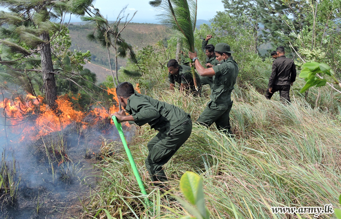 Haldummulla & Yahanwela Fires Brought Under Control