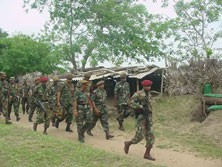 Enormous contributions made by troops hailed 